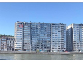 Appartement à vendre à Liège, quai St-Léonard, viager occupé