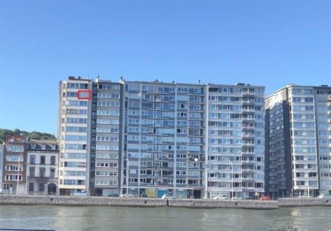 appartement-a-vendre-a-liege-quai-st-leonard-viager-occupe-big-0