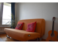 canape-lit-2-places-housse-moutarde-small-0