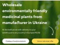 vente-de-plantes-medicinales-en-vrac-du-fabricant-aux-meilleurs-prix-small-0
