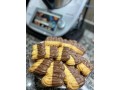 thermomix-tm6-by-cookycool-small-5
